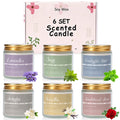 6 Pack Candles for Home Scented Aromatherapy Candle Gifts Set for Women, Lavender Candle, 300 Hour Long Lasting Candles, Stocking Stuffers, Birthday, Valentine, Christmas, Anniversary Present