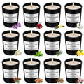Scented Candles 12 Gift Sets for Women Natural Soy Wax Christmas Birthday Gift Candles Burning Time for 240H