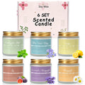 6 Pack Candles for Home Scented Aromatherapy Candle Gifts Set for Women, Lavender Candle, 300 Hour Long Lasting Candles, Stocking Stuffers, Birthday, Valentine, Christmas, Anniversary Present